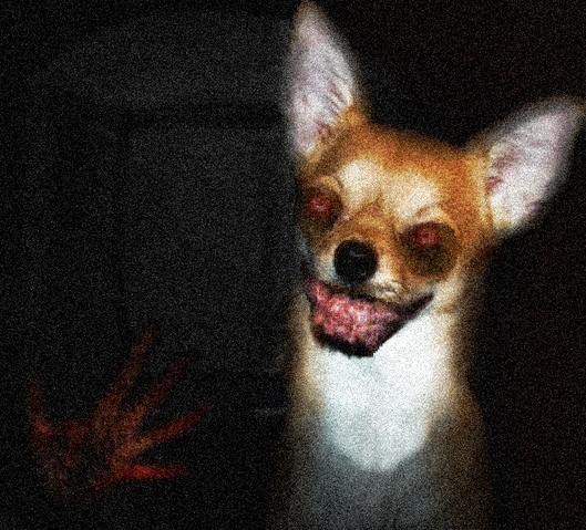 File:Wayne.Jpg The Dog Creepypasta.png
