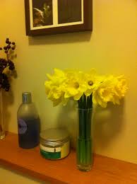 Daffodils