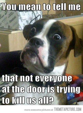 File:Funny-dog-scared-surprised-meme.jpg