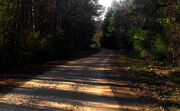 Huntsville-20110122-00152