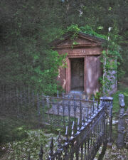 Edisto Island Photos 12-L