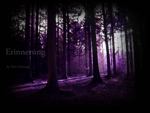 Datei:ErinnerungCover.jpg