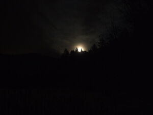 Night