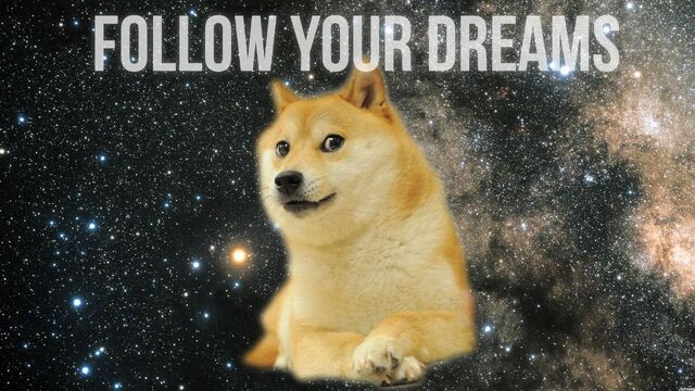 File:18361-doge-follow-your-dreams.jpg