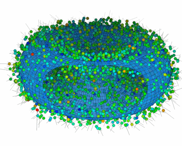 Datei:Casimir.gif
