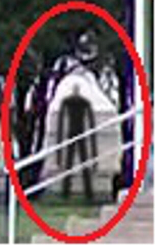 File:Slender Sight.jpg