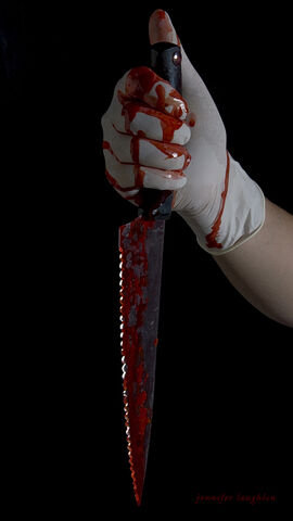 File:Bloody knife009copy1.jpg