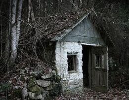 House in woods2