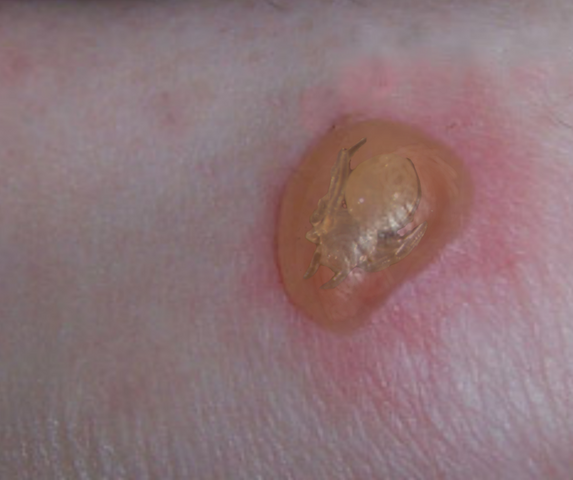 File:IMG 2295.png