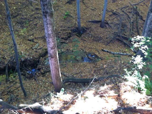 File:The ravine again.jpg