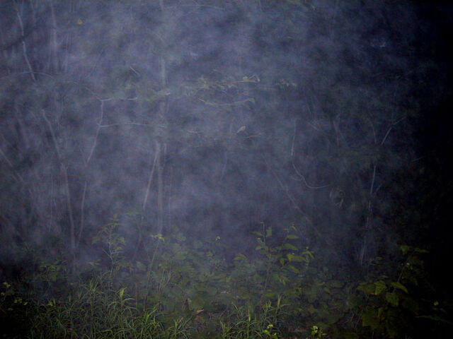 File:Pshot32.jpg