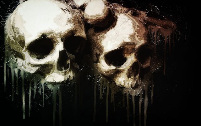 Datei:Skulls-2231280 1920.jpg