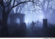 Friedhof