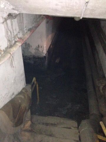 File:Bottom of the tunnel.jpg