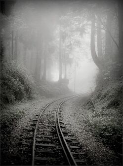 Abandoned railway