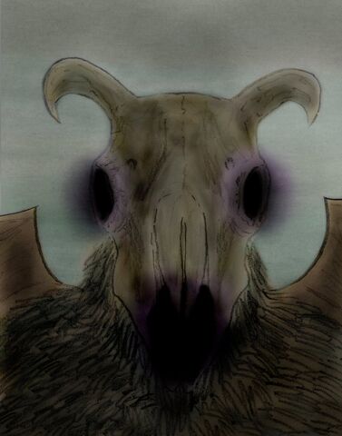 File:Sheepskull col13.jpg