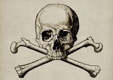 Skull-1515874