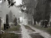 Cemetery in the Rain