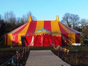 Circus-show-tent-Dorothy