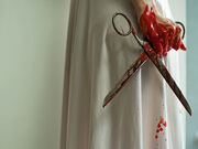 Tijeras-mucha-sangre