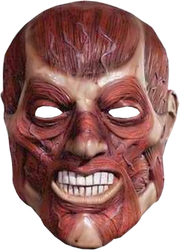 Abgezogenehaut