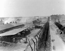 Bergenbelsen