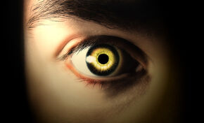 Seer