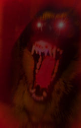 160px-Funnydog-1-.jpg