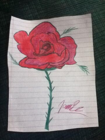 File:Rose.jpg