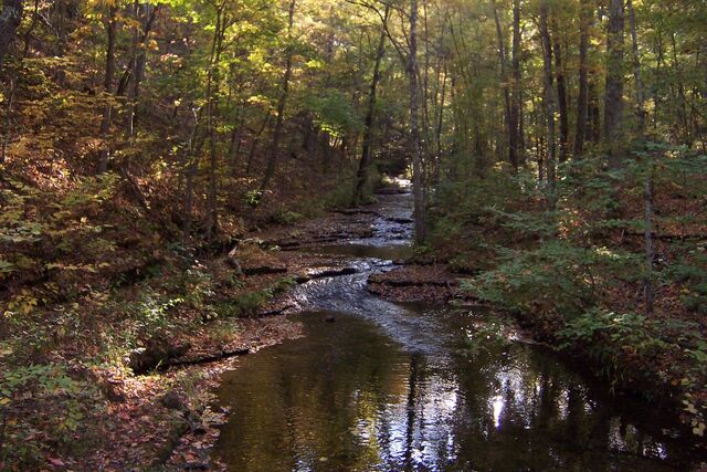 File:Deep-wood .jpg
