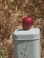 DSC 0194