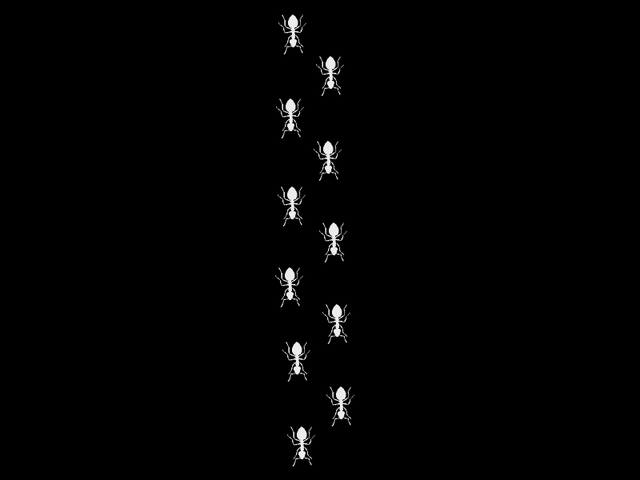 File:Ant.png