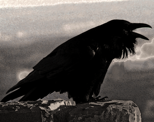 File:Raae's RAVEN on rock.png
