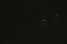 Eyes in the dark