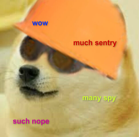 File:Engi doge.jpg