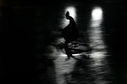 Cycling-in-the-dark