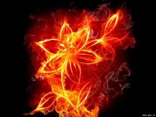 Holder of Flame Flower