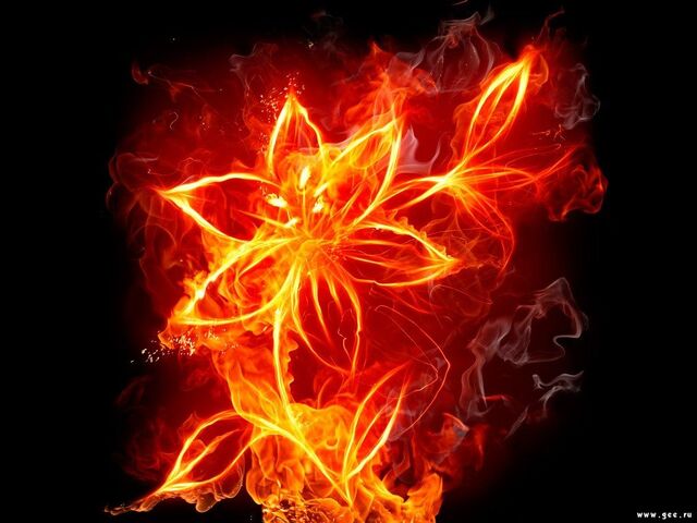 File:Holder of Flame Flower.jpg