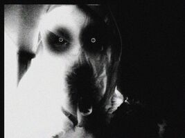 SCP128