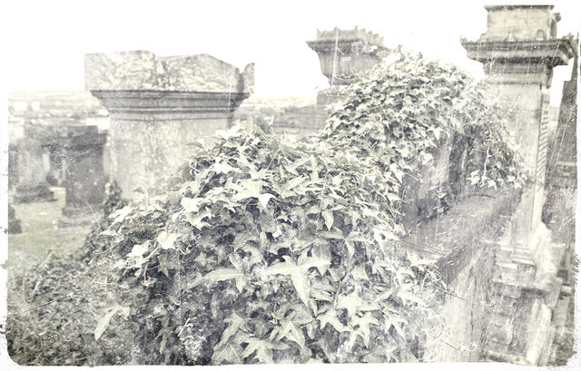File:Overgrown.jpg