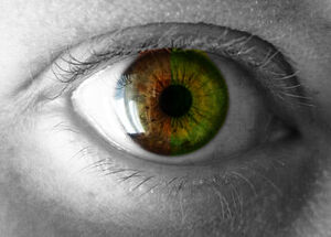 Green Eyes0