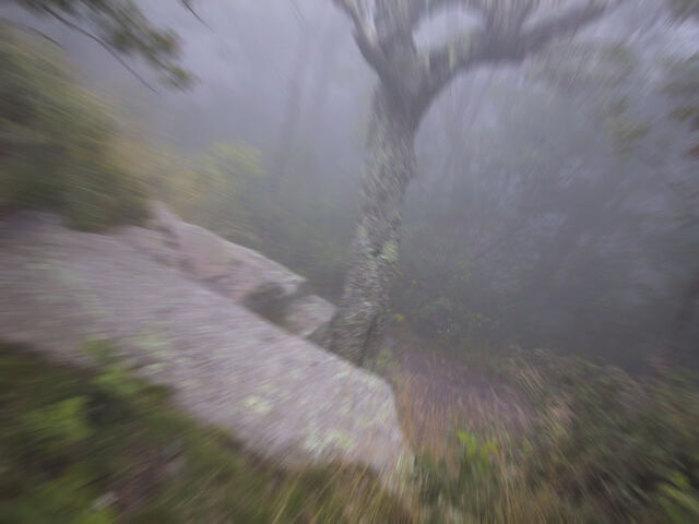 File:Pshot27.jpg