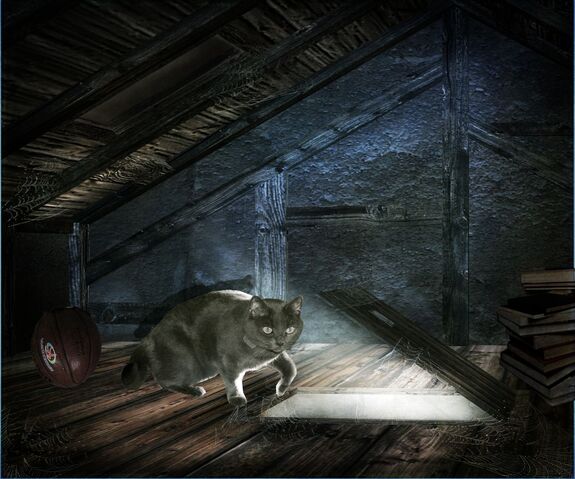 File:Cat in the Attic.jpg