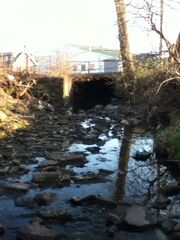 The creek of death