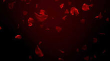 Petals