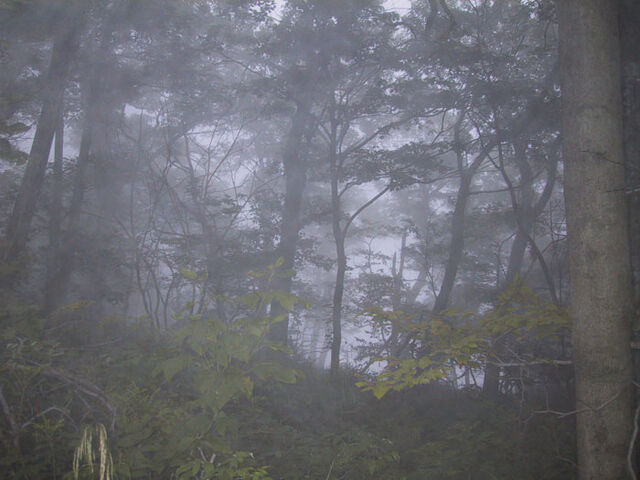 File:Pshot06.jpg