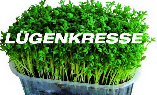 Datei:Lügenkresse.jpg