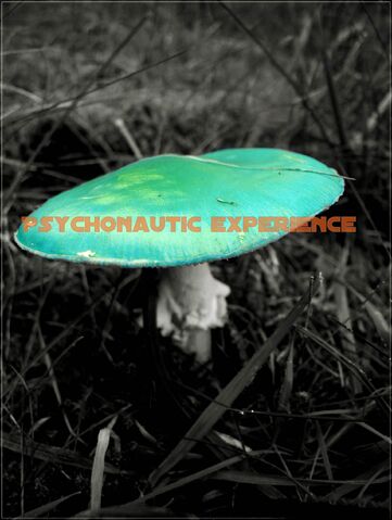 Datei:Psychonautic.jpg