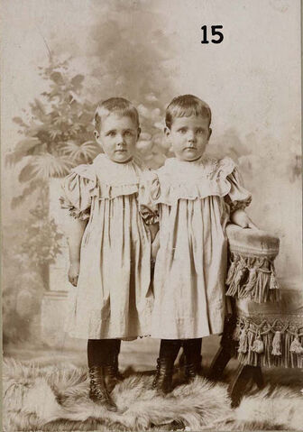 Datei:15) boy girl twins.jpg