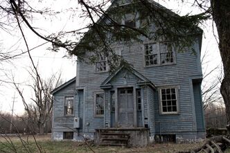 Blue house